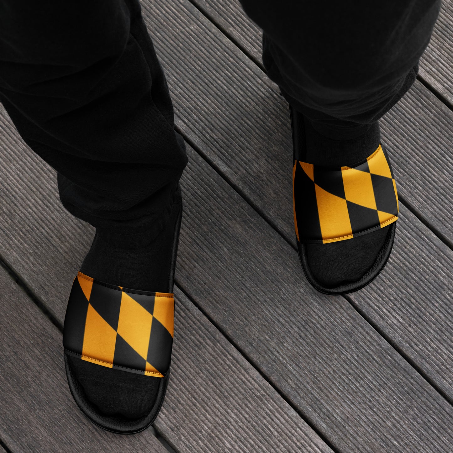 Maryland State Flag Slides