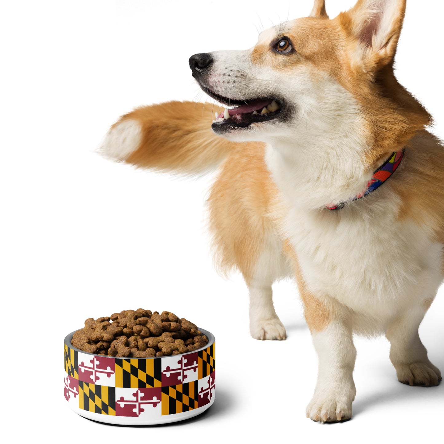Maryland Flag Pet bowl