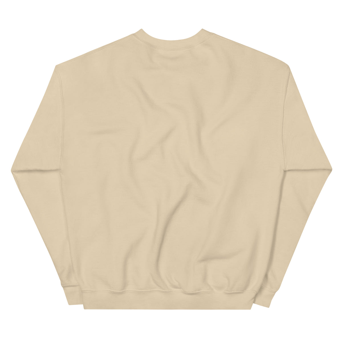 Plain back of Sand Kent Island Terrapin Trails sweatshirt