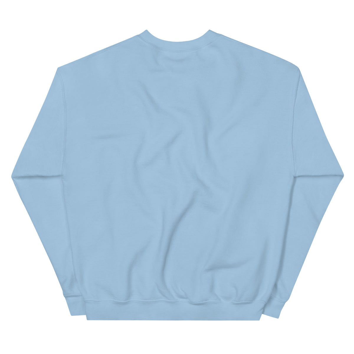 Plain back of Light Blue Kent Island Terrapin Trails sweatshirt